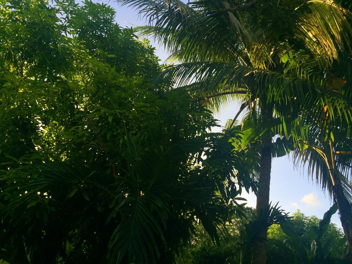 Yaad Hostel Montego Bay Exteriör bild